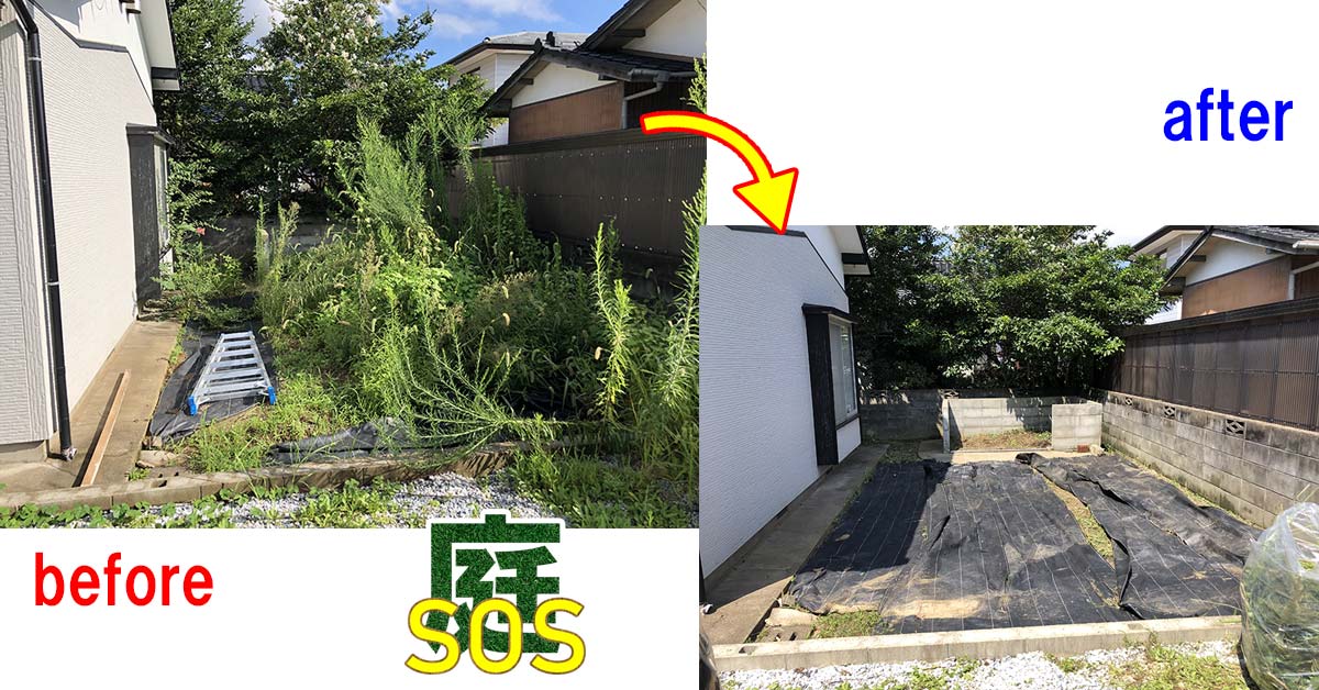 戸建て住宅お庭の草刈り