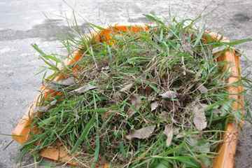 空き家の草むしり、除草