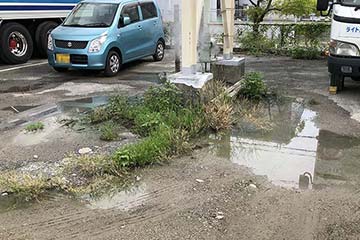 駐車場の草刈り