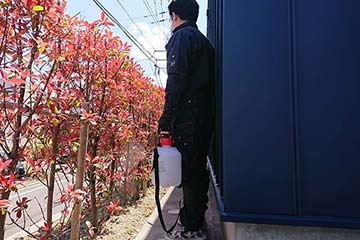 一戸建て、一軒家の植木の消毒